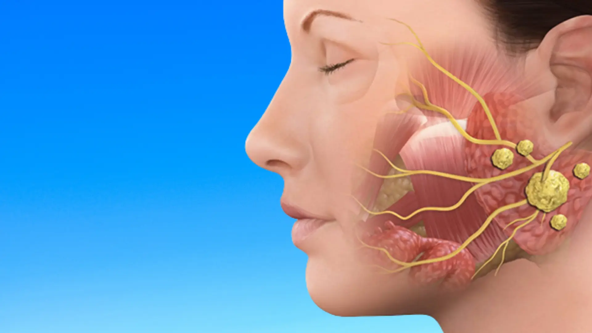 Head and neck surgical treatment